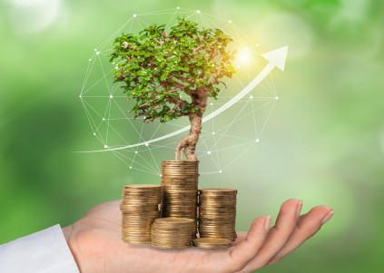 Khả năng tài chính vững mạnh