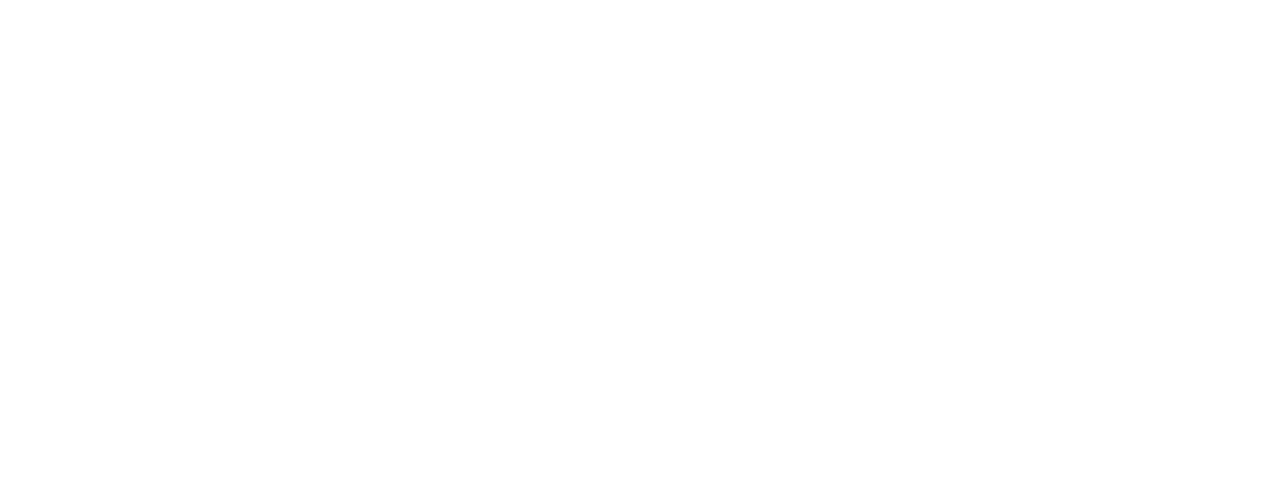 GREEN SPEED JOINT STOCK COMPANY (JGS)